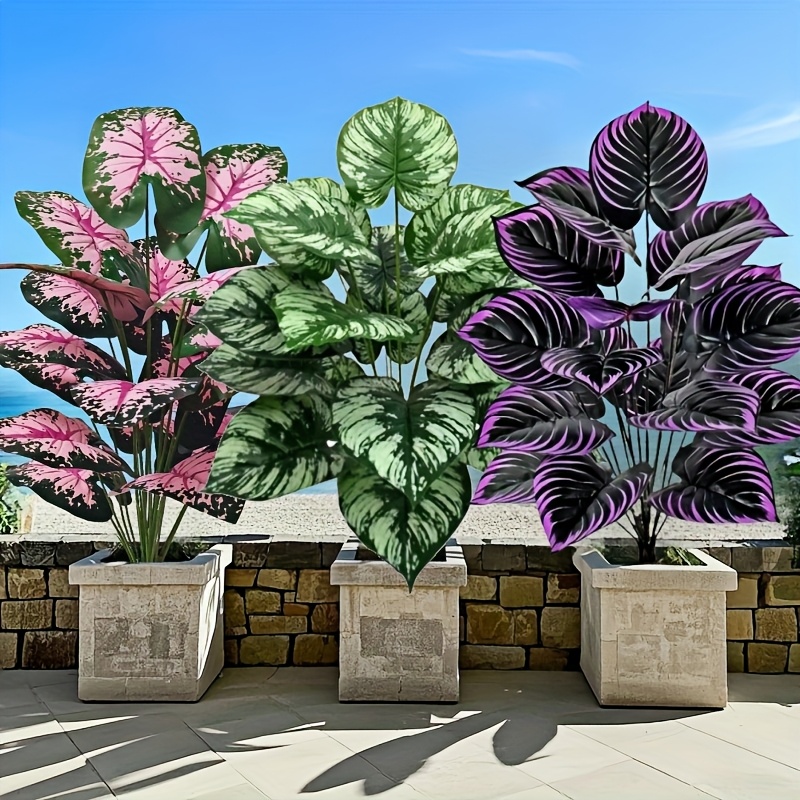 Monstera Adansonii - 3 قطعة 60 سنتيمتر مجموعة نباتات