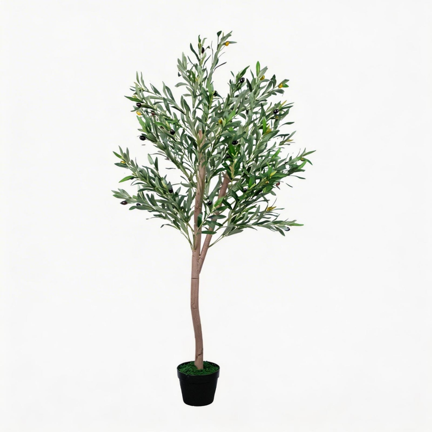 شجرة زيتون اصطناعية بارتفاع 5  - مراجعة Dracaena Marginata وسعره