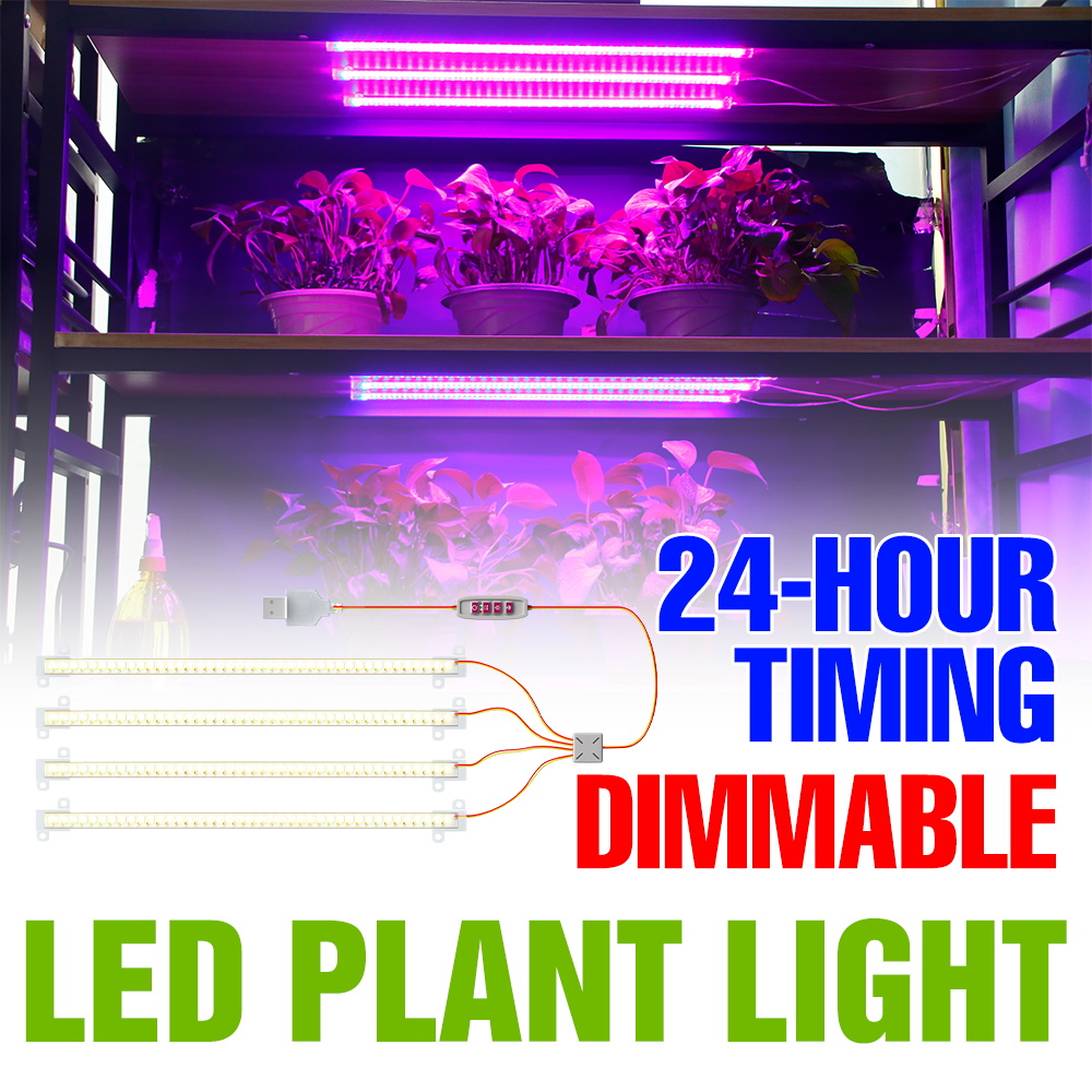 شريط إضاءة LED داخلي للنباتات  - مراجعة Echeveria Succulent وسعره