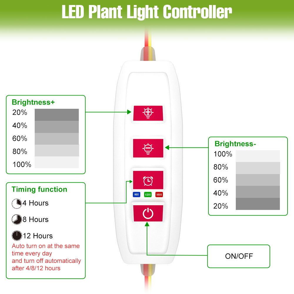 شريط إضاءة LED داخلي للنباتات  - مراجعة Echeveria Succulent وسعره