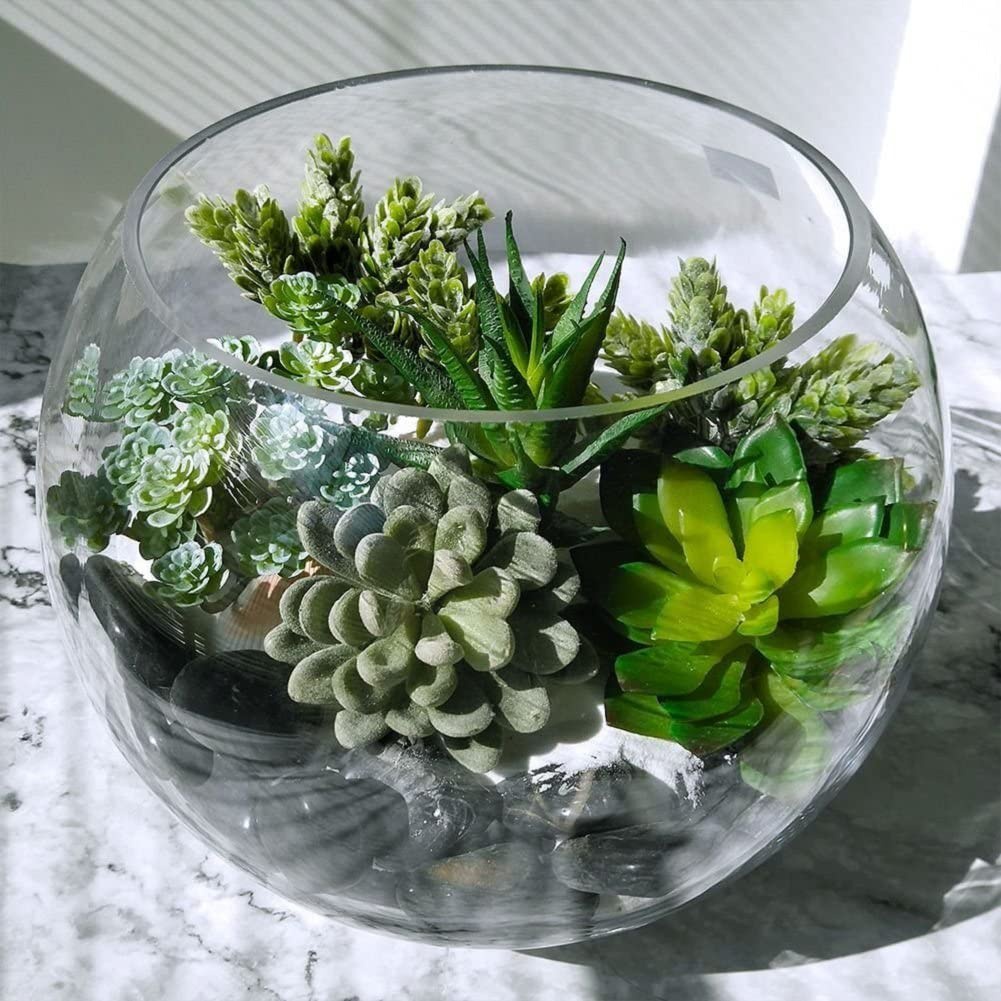 نباتات عصارية زخرفية صناعية ،  - مراجعة Echeveria Succulent وسعره