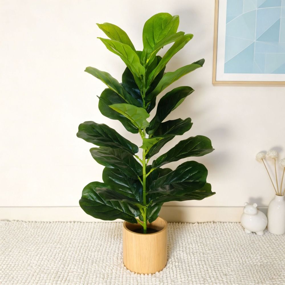 شجرة تين اصطناعية خضراء كبيرة  - مراجعة Monstera Adansonii وسعره
