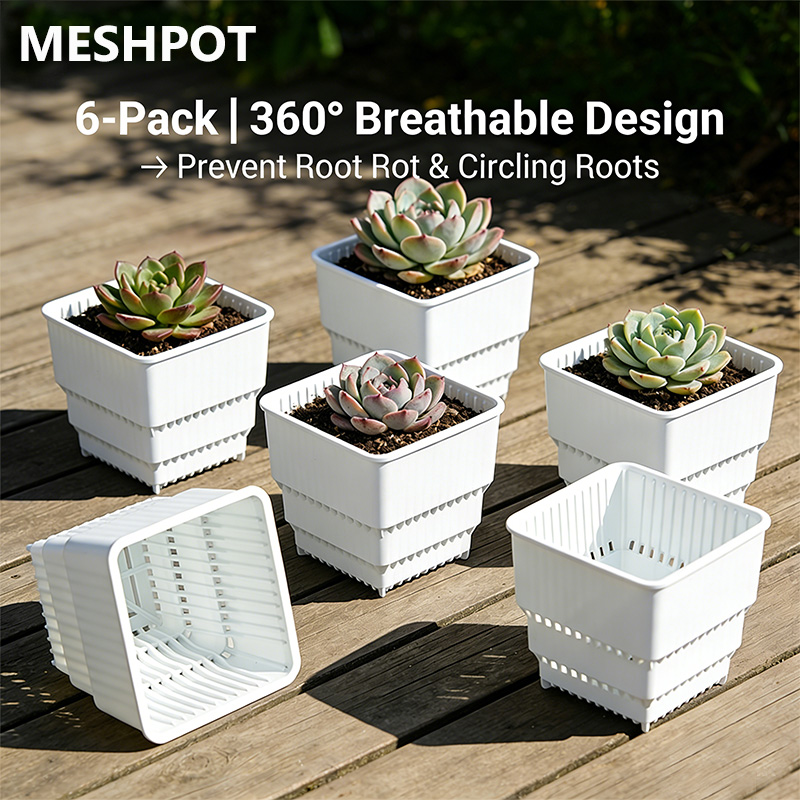 مجموعة MESHPOT من 6 أوعية مربع - مراجعة Echeveria Succulent وسعره