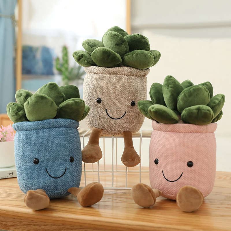 ألعاب محشوة على شكل نباتات الت - مراجعة Echeveria Succulent وسعره
