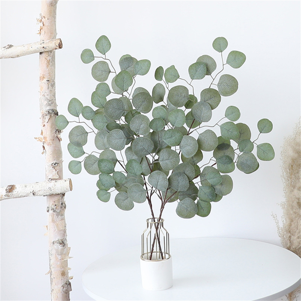 أوراق الكافور الكرمة النباتات  - مراجعة Dracaena Marginata وسعره
