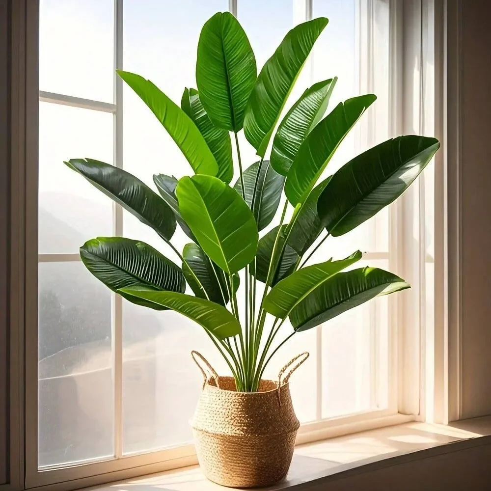 1 قطعة 18 أوراق نباتات اصطناعي - مراجعة Monstera Adansonii وسعره