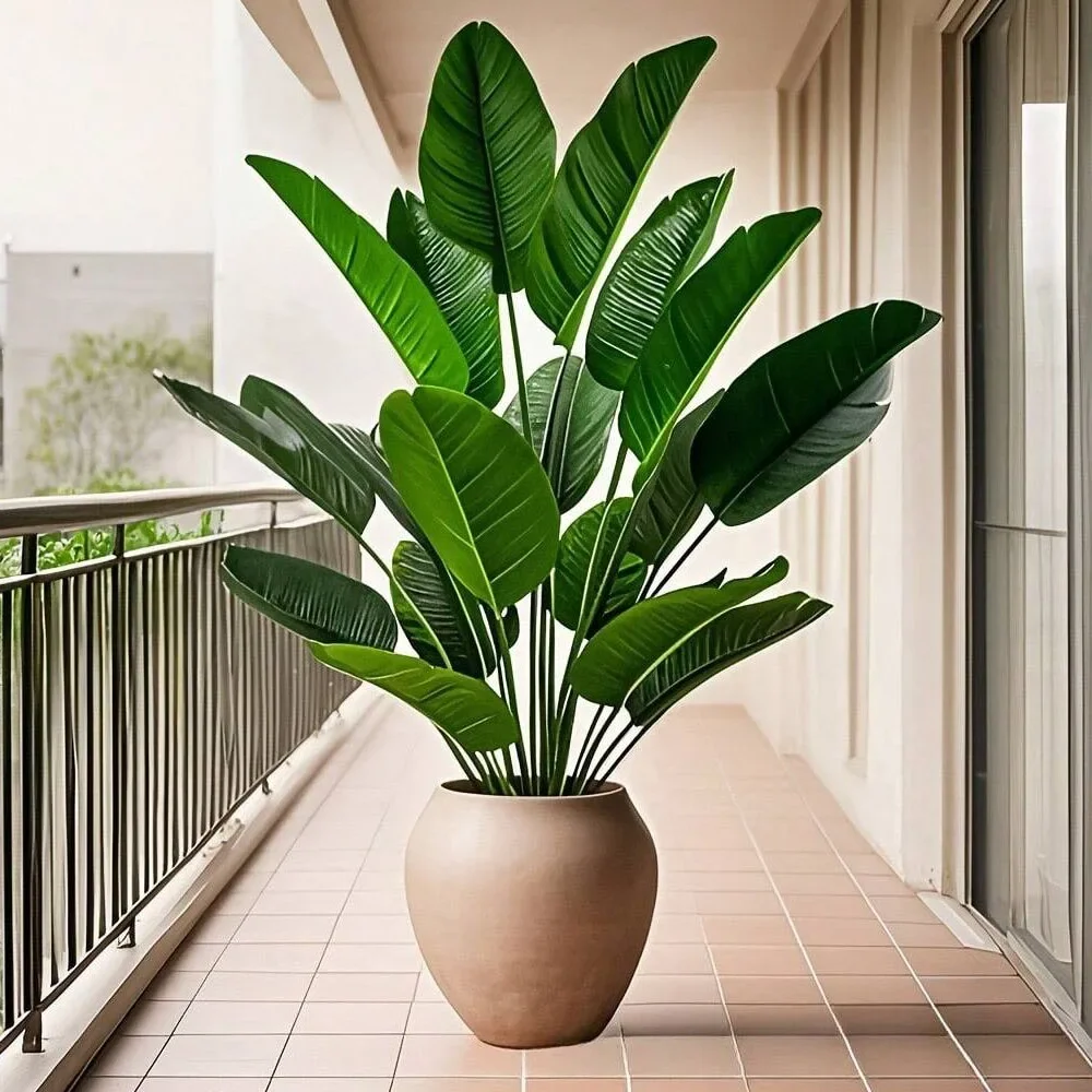 1 قطعة 18 أوراق نباتات اصطناعي - مراجعة Monstera Adansonii وسعره