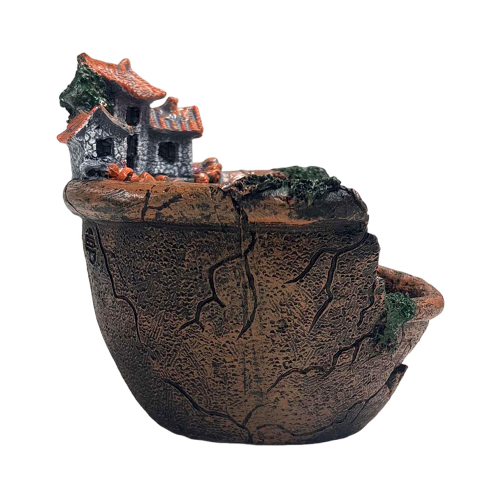 وعاء نباتات عصارية بتصميم عتيق - مراجعة Echeveria Succulent وسعره